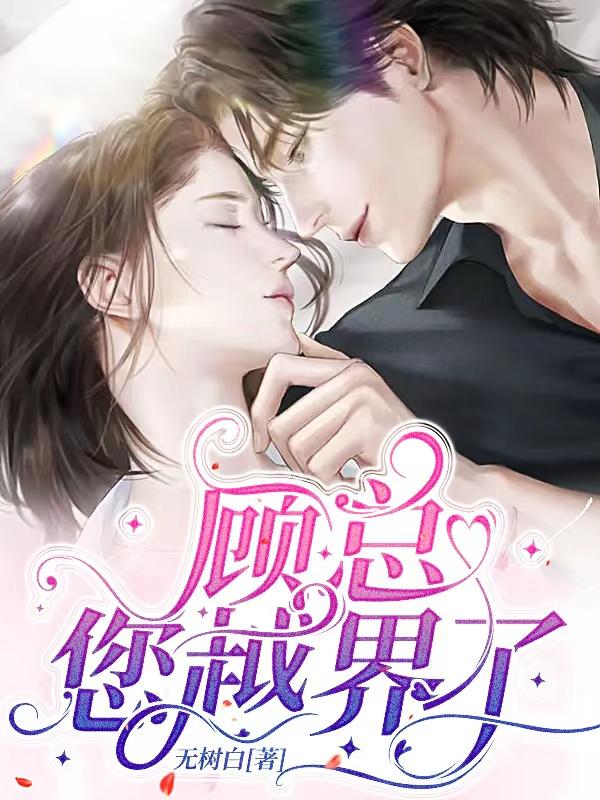 顾总，您越界了小说阅读