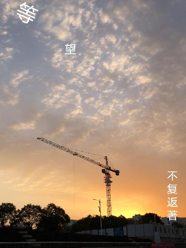 等望小说阅读