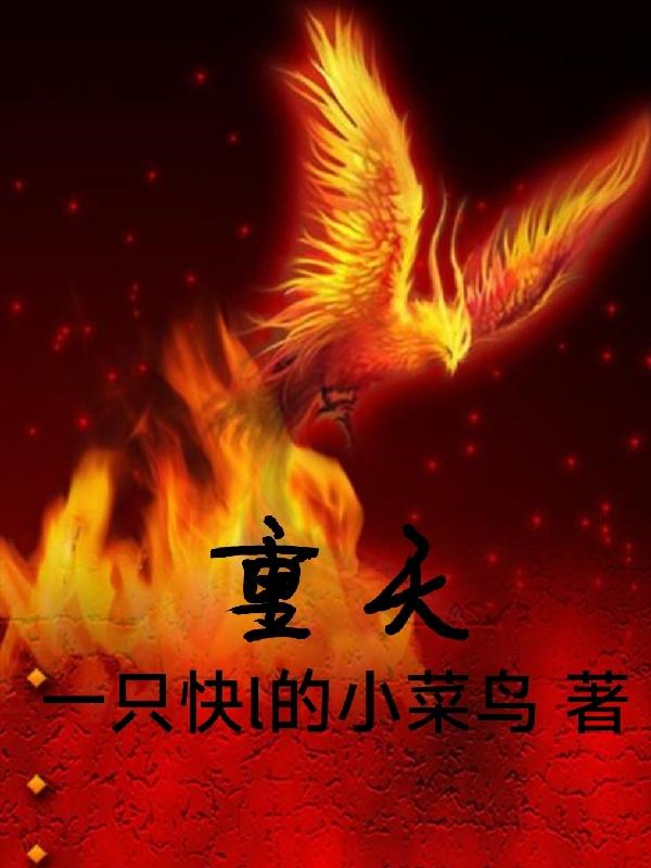 重天小说阅读