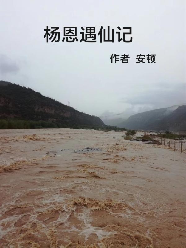 杨恩遇仙记小说阅读