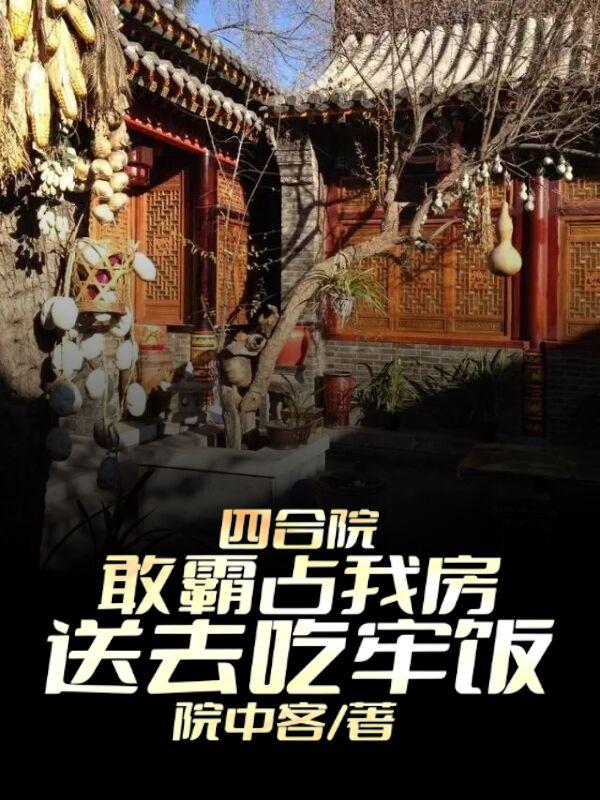 四合院：敢霸占我房，送去吃牢饭小说阅读