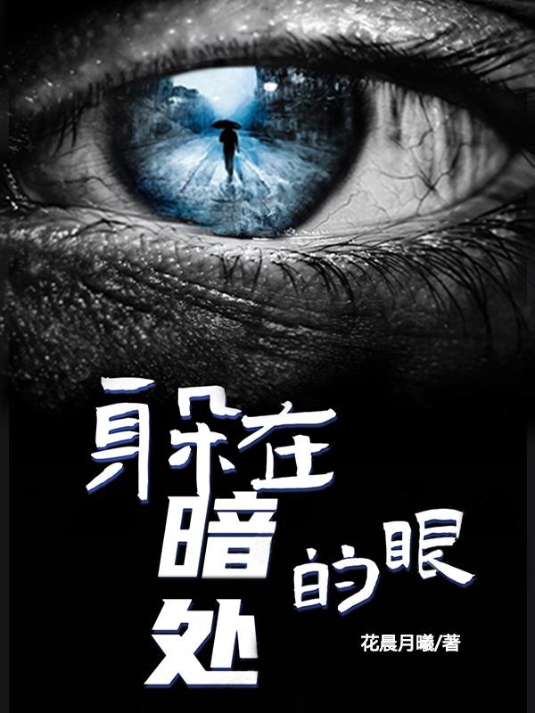 躲在暗处的眼小说阅读