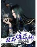 极品器炼师小说阅读
