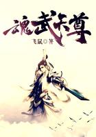 魂武天尊小说阅读