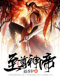 至尊神帝张浩然小说阅读