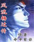 风流杨过传