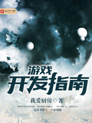 游戏开发指南小说阅读
