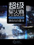 超级军火商小说阅读