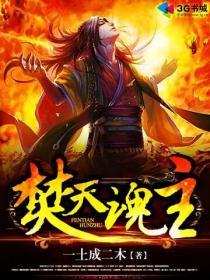 焚天魂主小说阅读
