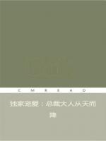 独家宠爱：总裁大人从天而降小说阅读