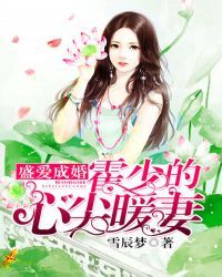 霍少的心尖暖妻小说阅读