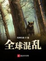 全球混乱小说阅读