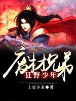废材兄弟：狂野少年小说阅读