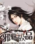 邪魅极品小说阅读