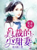 宠妻无度：总裁的小甜妻小说阅读