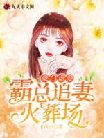 豪门虐爱：霸总追妻火葬场小说阅读