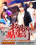 校花的贴身高手小说阅读