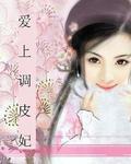 爱上调皮妃小说阅读