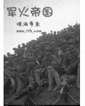 军火帝国小说阅读