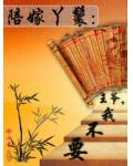 陪嫁丫鬟：王爷，我不要小说阅读