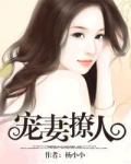 宠妻撩人小说阅读
