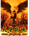 天使战魂小说阅读