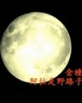 金瞳小说阅读
