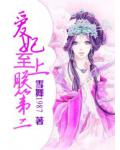 爱妃至上，朕第二小说阅读