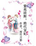紫苑清辉：绝代宠妃小说阅读