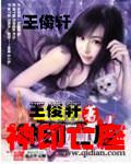 神印亡座小说阅读