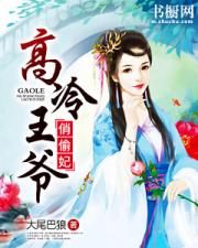 高冷王爷俏偷妃小说阅读