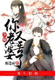 少帅，你老婆又丢了小说阅读