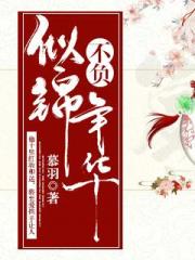 不负似锦年华小说阅读