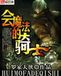 会魔法的骑士小说阅读