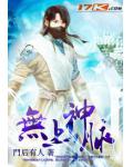 无上神脉小说阅读