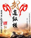 武道纵横小说阅读