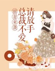 前妻来袭：总裁不爱请放手小说阅读