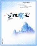 武林萌主小说阅读