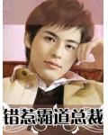 错惹霸道总裁小说阅读