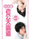 财迷妻：老公太霸道小说阅读