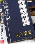 大公小匠小说阅读