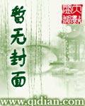 造物之主小说阅读