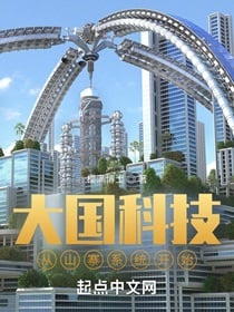 大国科技从山寨系统开始小说阅读