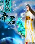紫微帝君小说阅读