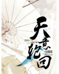 轮回天意小说阅读