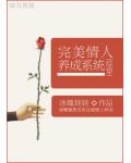 完美情人养成系统小说阅读