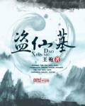 盗仙墓 作者：王袍