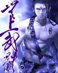 无上武体小说阅读