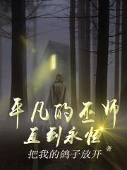 平凡的巫师：直到永恒小说阅读