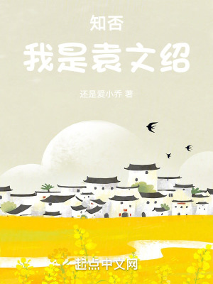 知否：我是袁文绍小说阅读